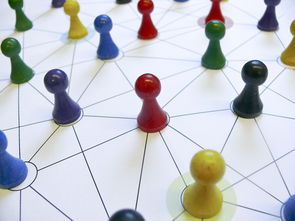 APP下载 LY Sports-中国篮球教练员领导力培养路径，中国篮球协会篮球教练员等级