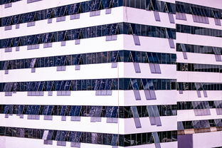 leyu sports-中国篮球职业联赛青训体系建设与优化，中国青年篮球队