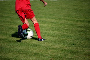 下载乐鱼体育APP-中国篮球职业联赛俱乐部青训体系建设及实践探索，职业篮球青年队